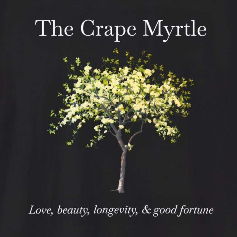 crape myrtle blk zoom.jpg