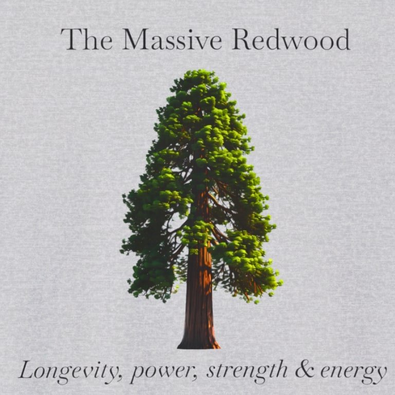 Redwood grey zoom.jpg