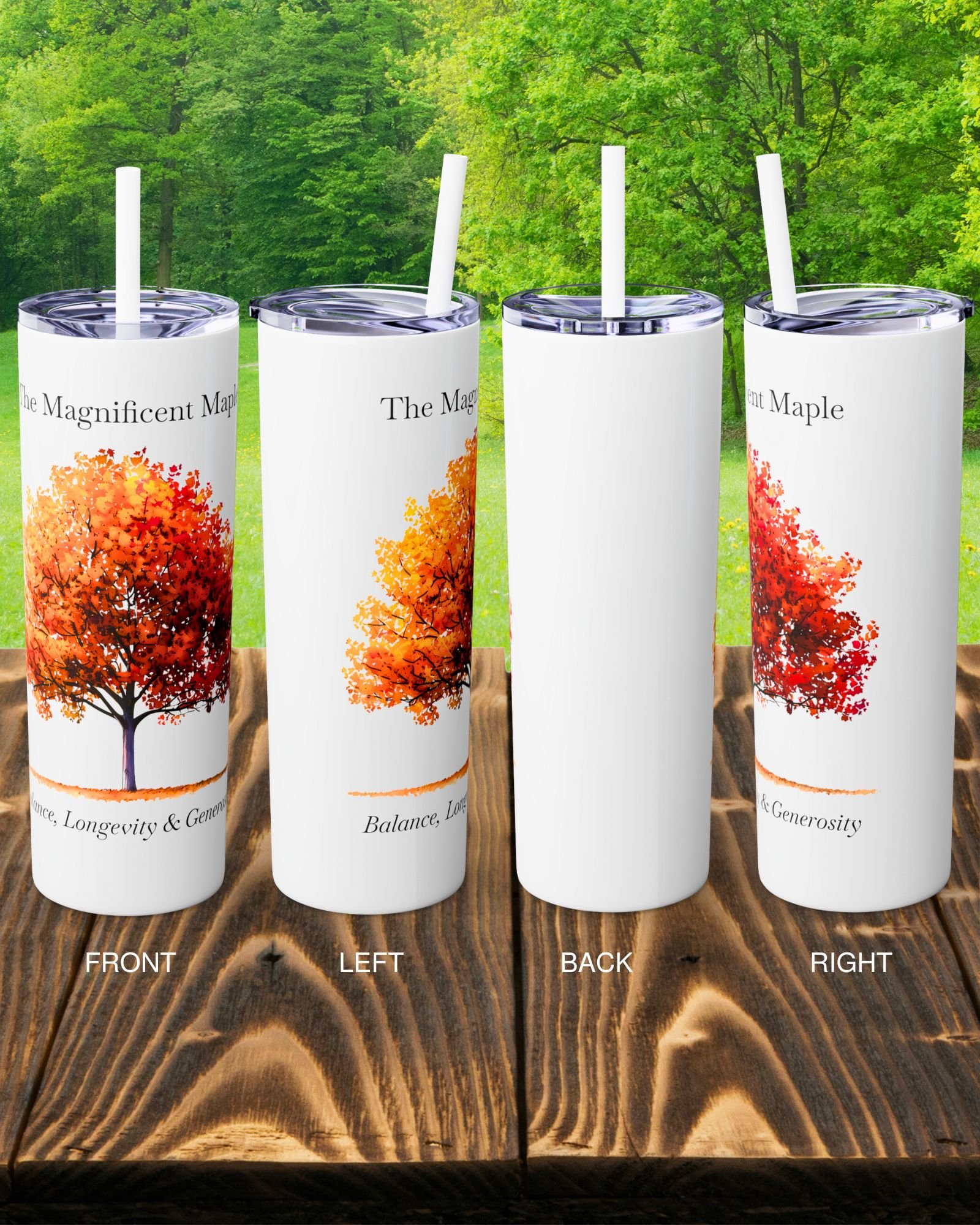 Tumbler Maple Views.jpg