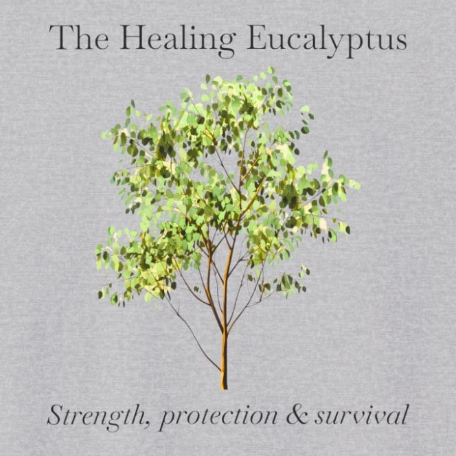 Eucalyptus grey zoom.jpg