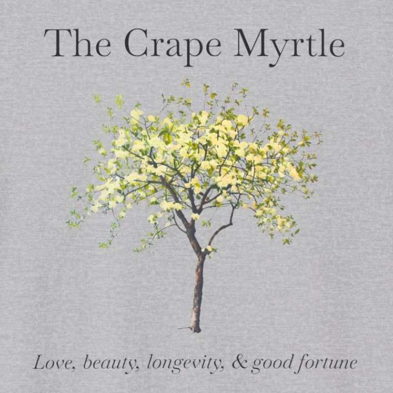 crape myrtel grey zoom.jpg