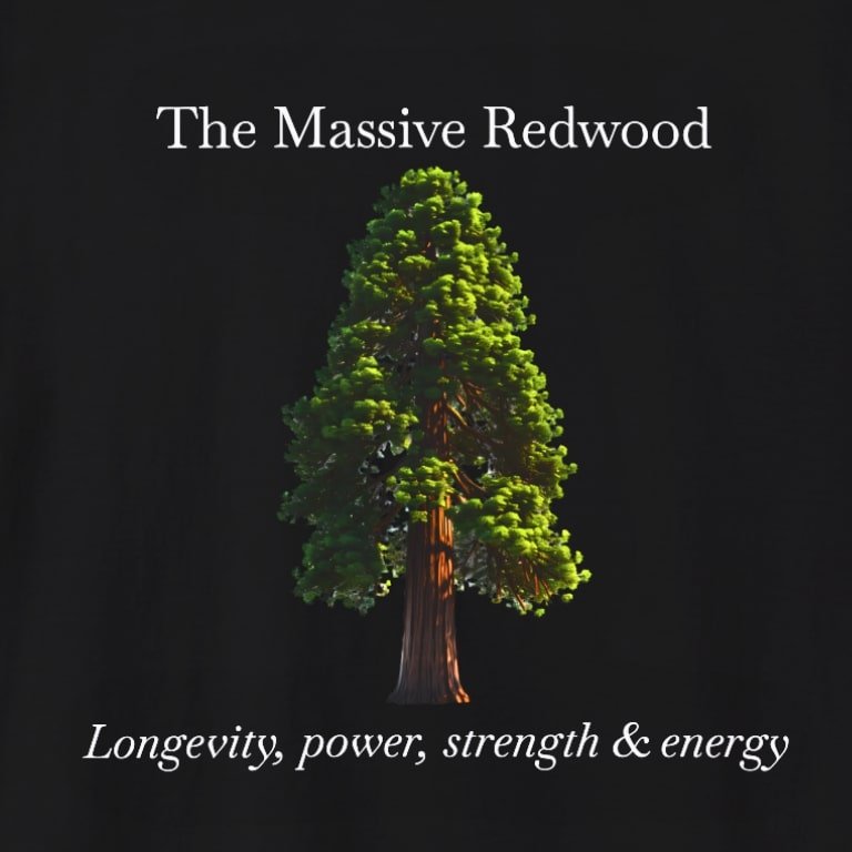 Redwood blk zoom.jpg