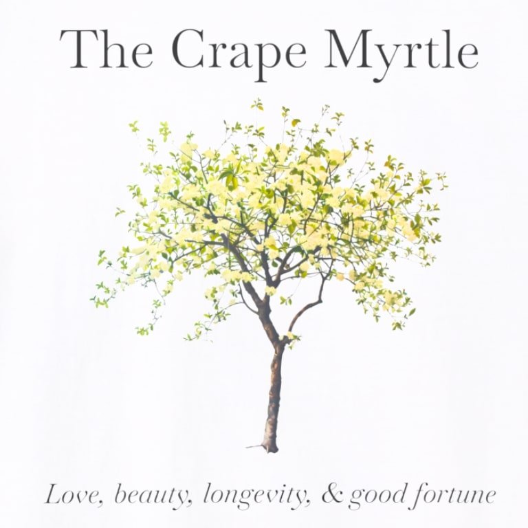 crape myrtle wht zoom.jpg