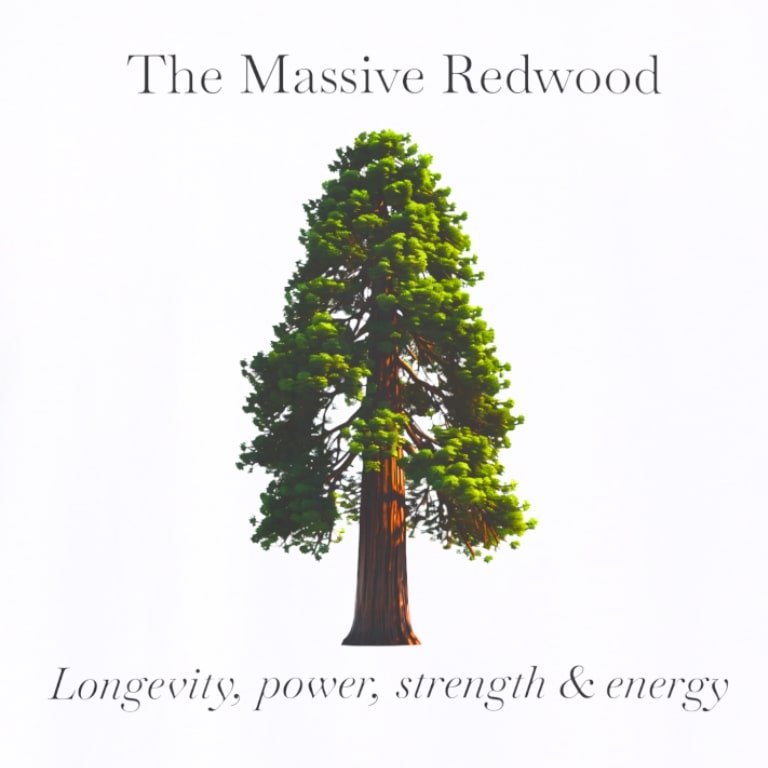 Redwood wht zoom.jpg
