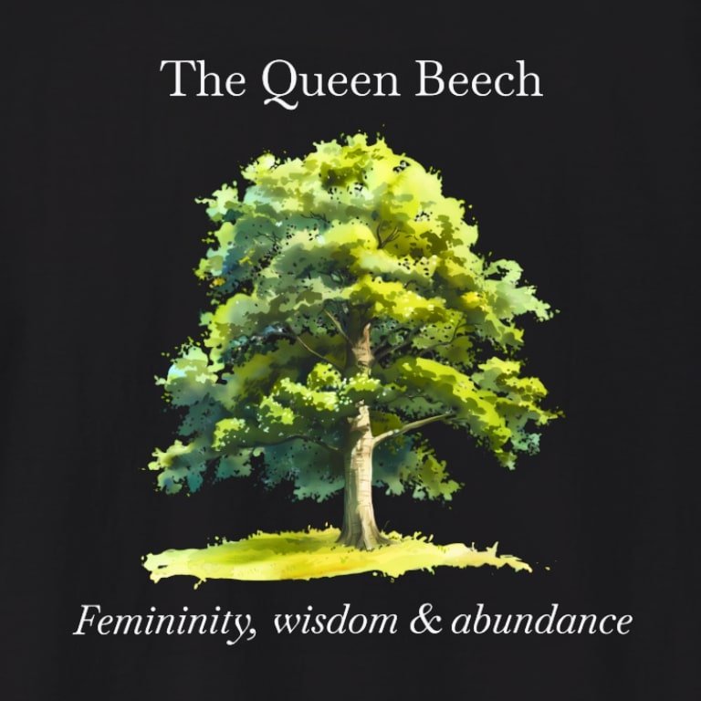 Beech blk zoom.jpg