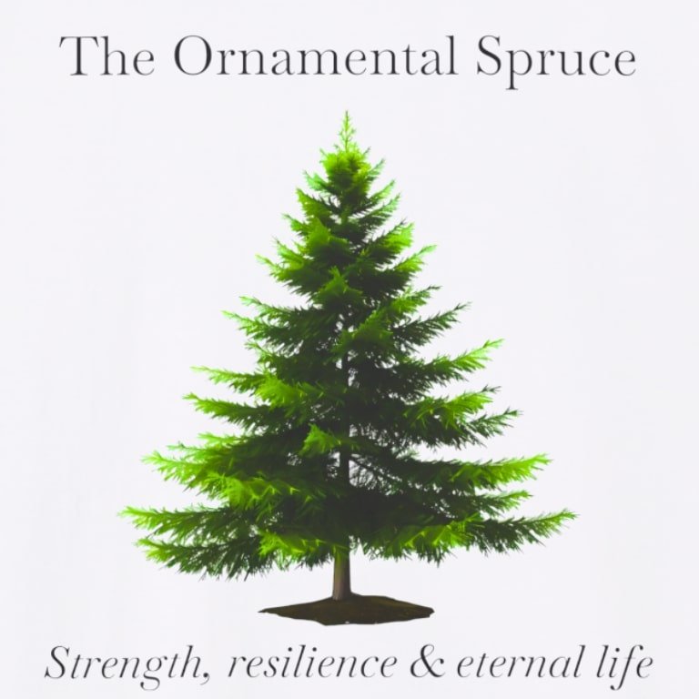 Spruce wht zoom.jpg