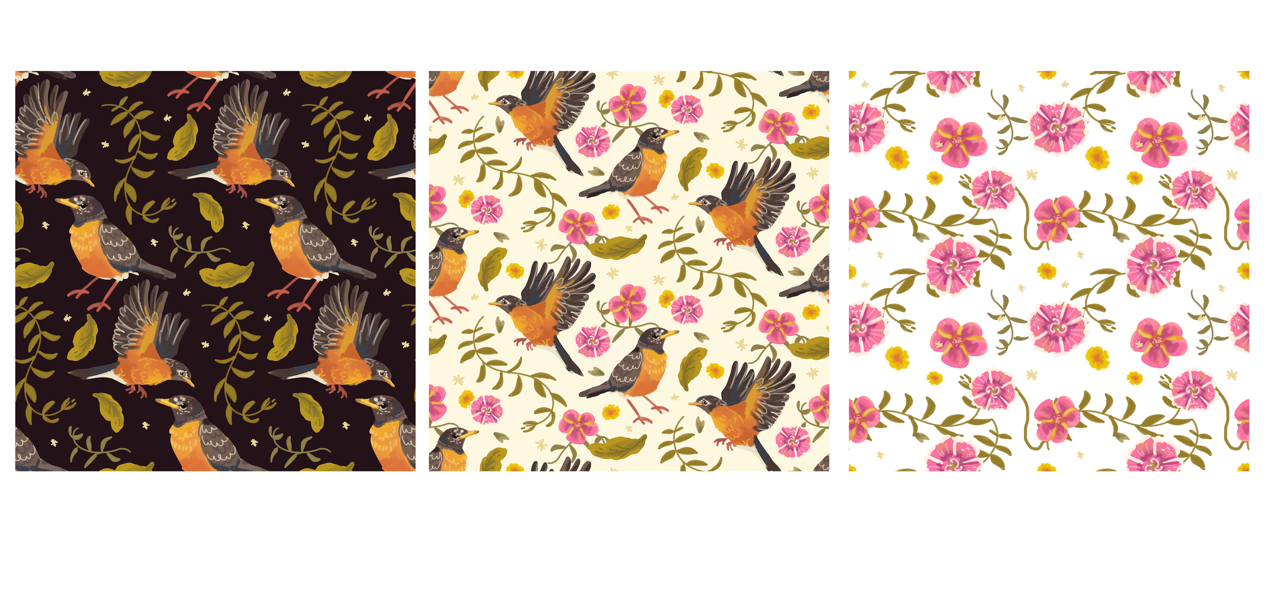 springrobin.png