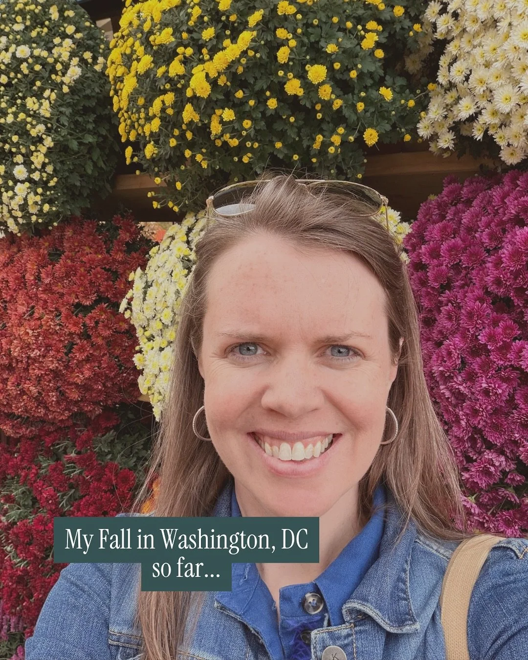 Highlights of my fall in Washington, DC so far include a day trip to Annapolis, Fall Festival fun at Cox Farms to celebrate friends and clients, selling my client&rsquo;s Capitol Hill home, and a visit to Florida to celebrate my Aunt&rsquo;s birthday
