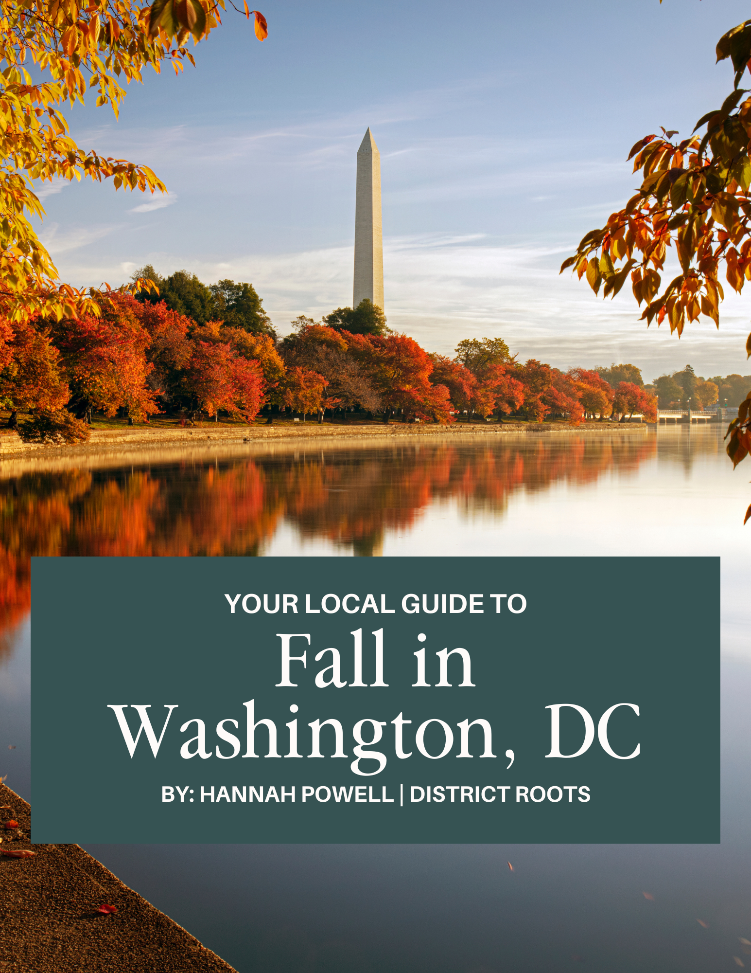 Washington, DC Fall Guide