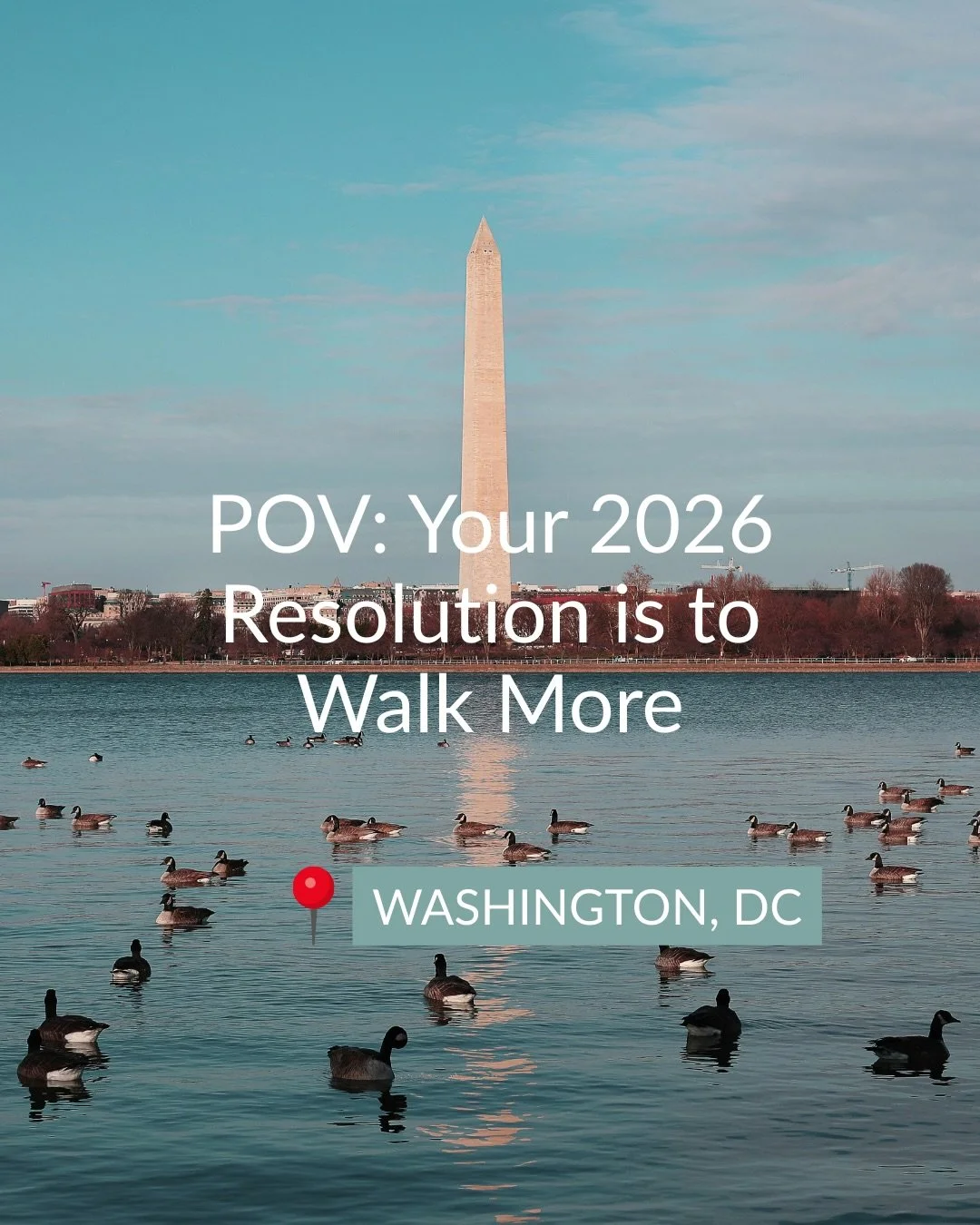 The greenery, the neighborhoods, and how easily it all connects&mdash;this is what makes Washington, DC such a special city to walk through.

After 20+ years of calling DC home, I&rsquo;ve logged plenty of miles, and these Washington DC parks are the