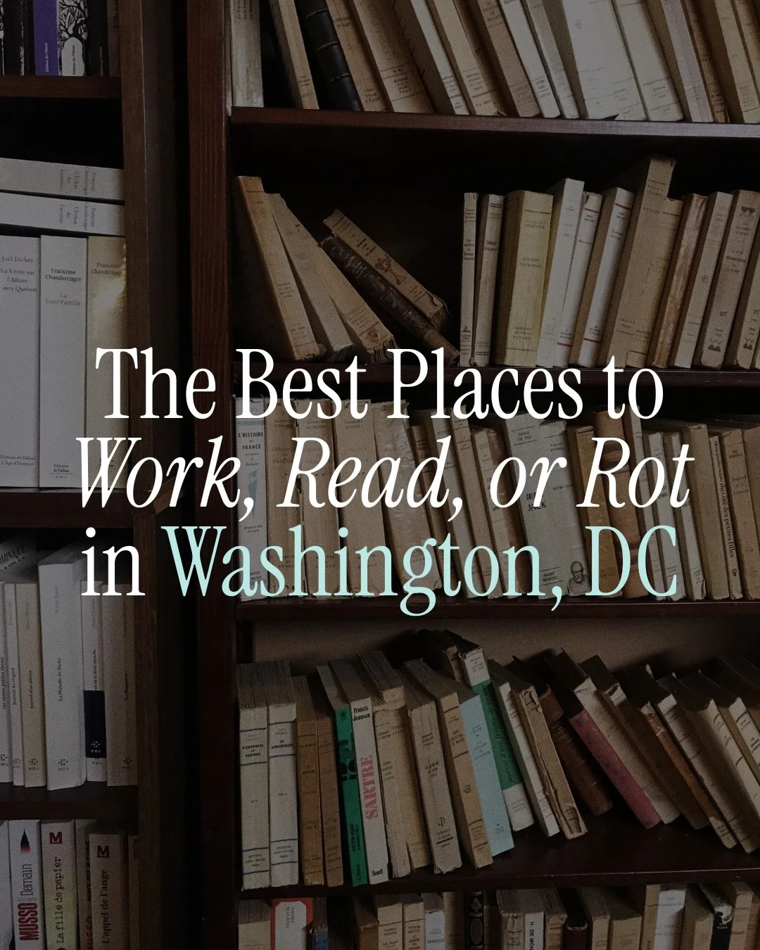 Where I&rsquo;ll be cozying up in Washington, DC this winter 

Winter turns me into someone who plans their entire week around finding a good seat, a warm drink, and a place I won&rsquo;t want to leave. 

My current winter lineup looks like: ✨

-Emis