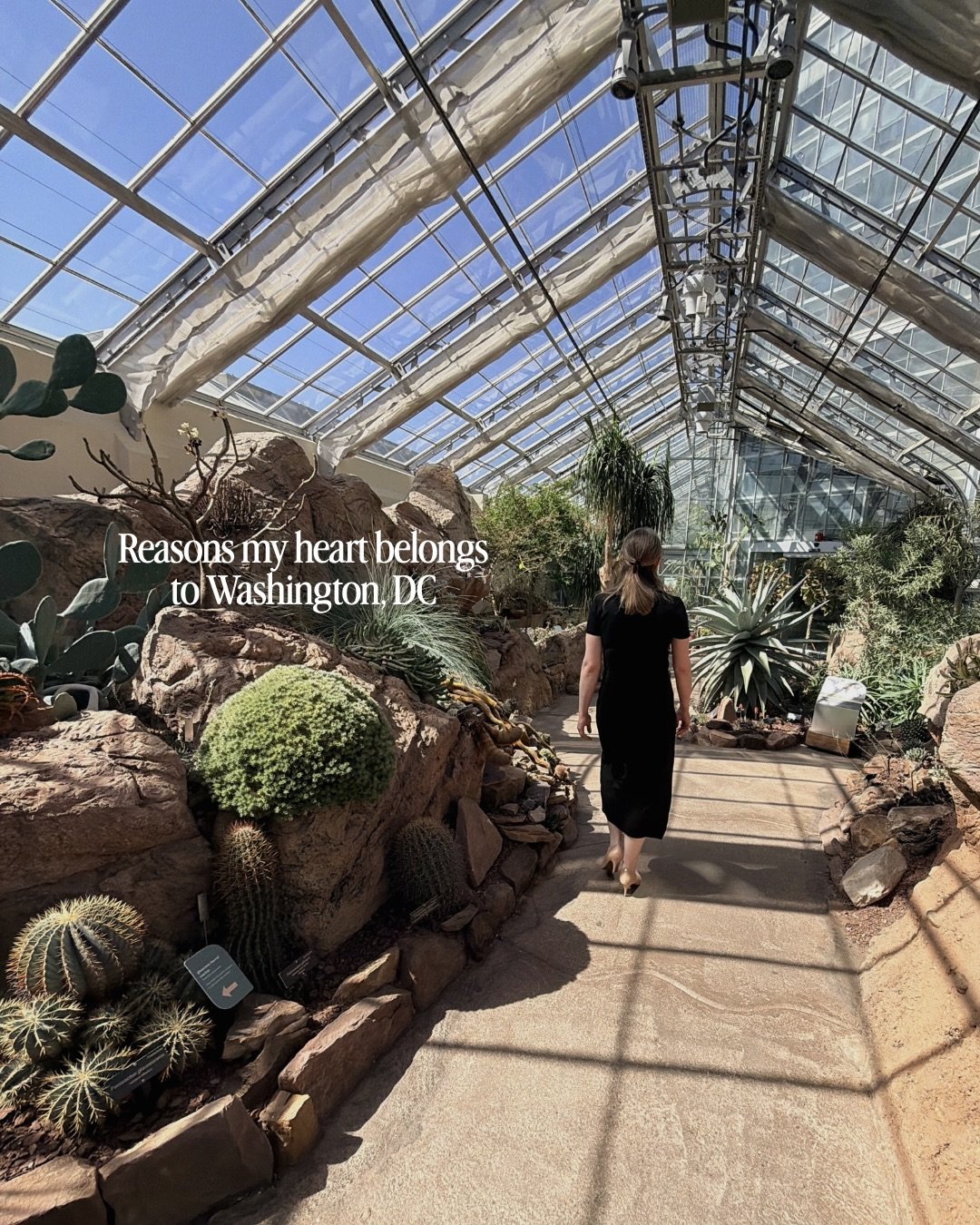 Living in Washington, DC ruins you for every other city and I mean that in the best way.

You think you&rsquo;ll be here for a few years and then suddenly you&rsquo;re turning down jobs in other cities without even thinking twice about it.

And once 