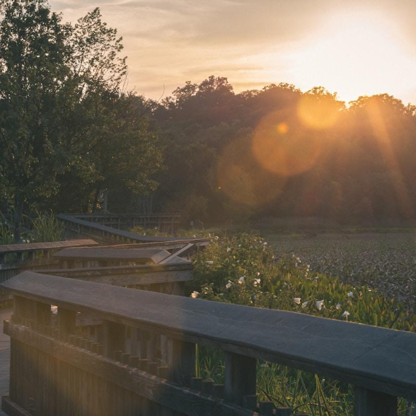 How to Soak up Summer in Washington, DC