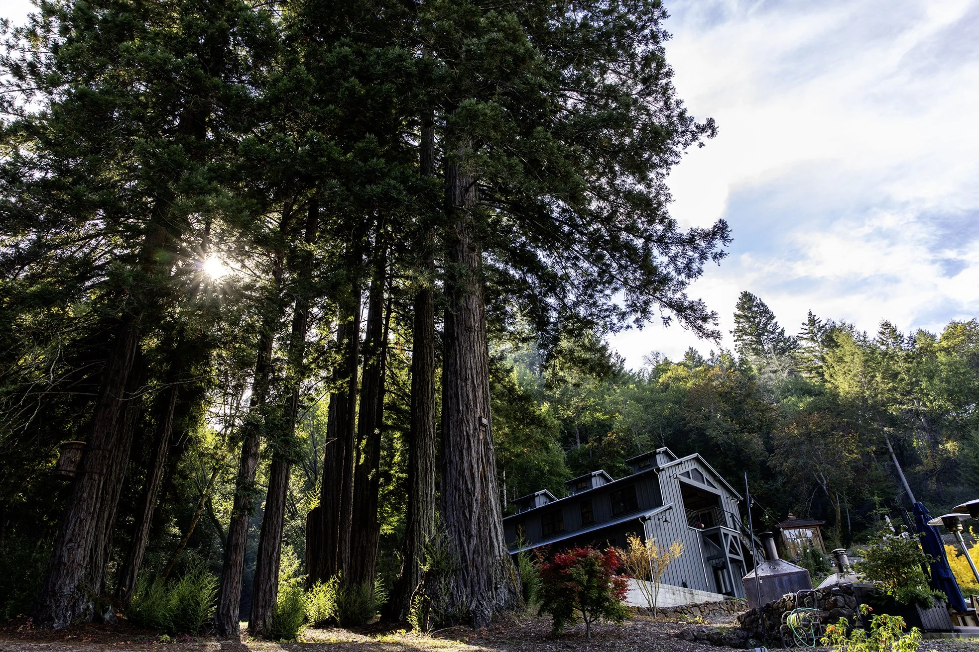 New Tree Ranch Resort-Healdsburg-California