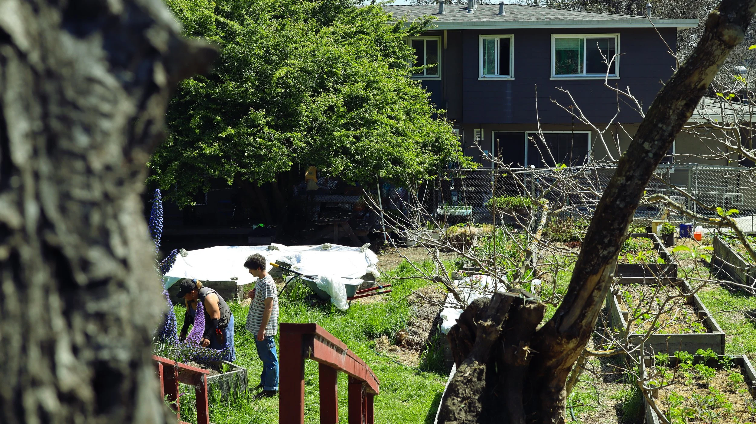 GARDEN.jpg
