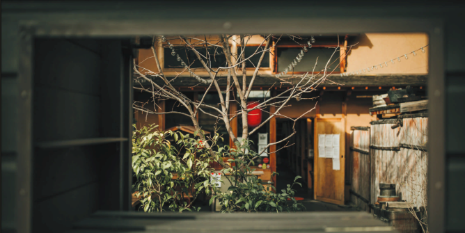 Paradox On Our Plates