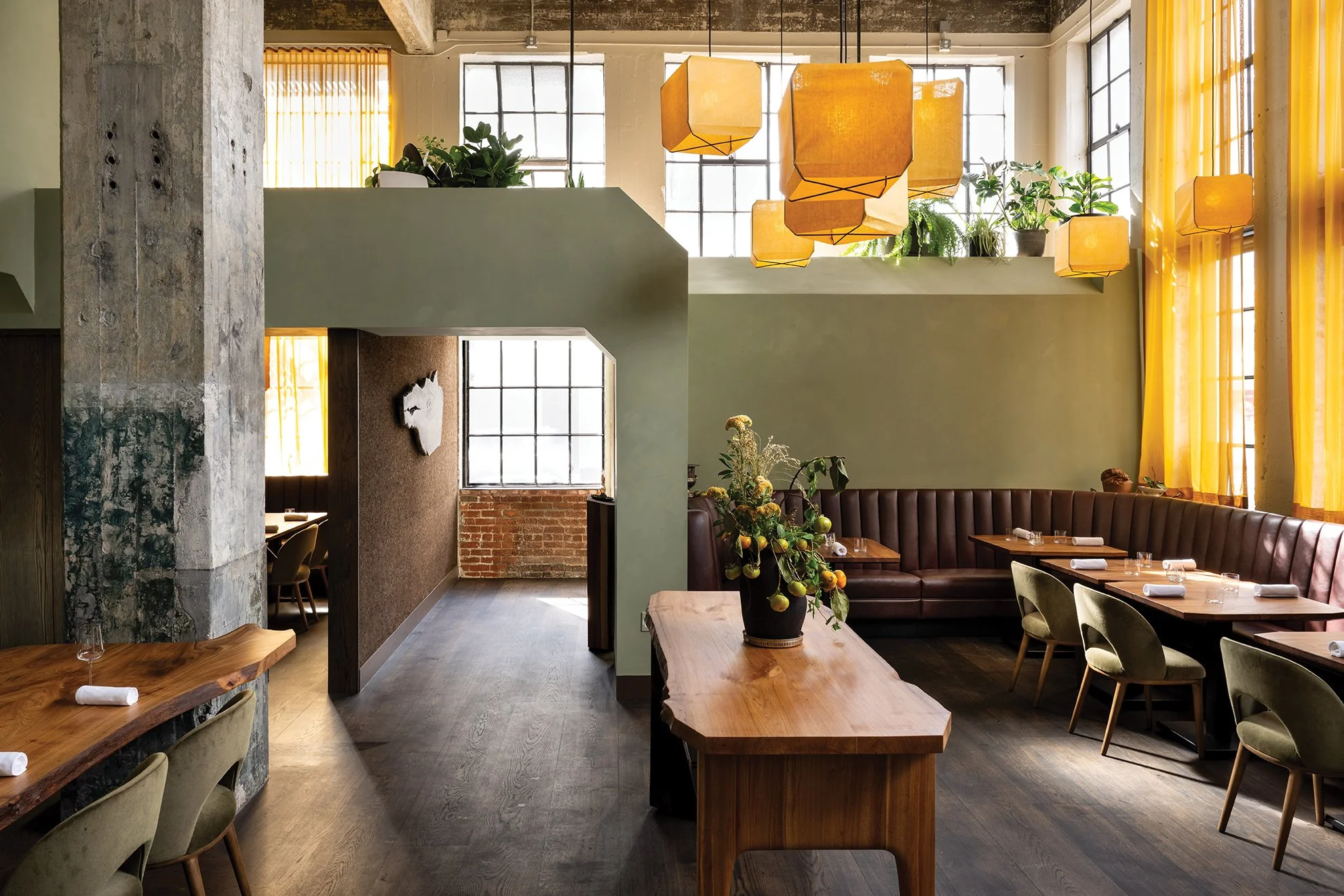  Photo—Adahlia Cole 