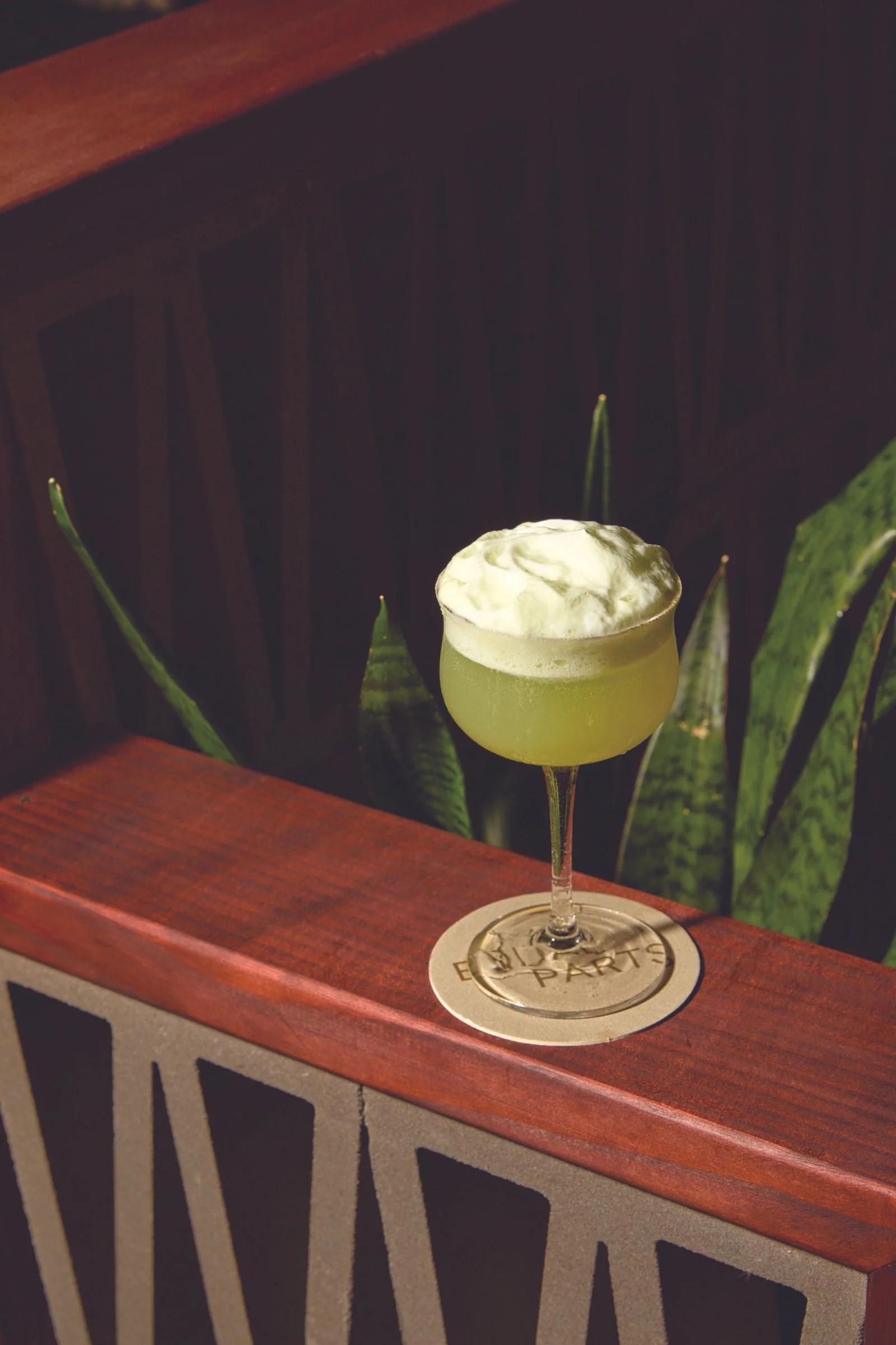  Photos—Melissa Zink 