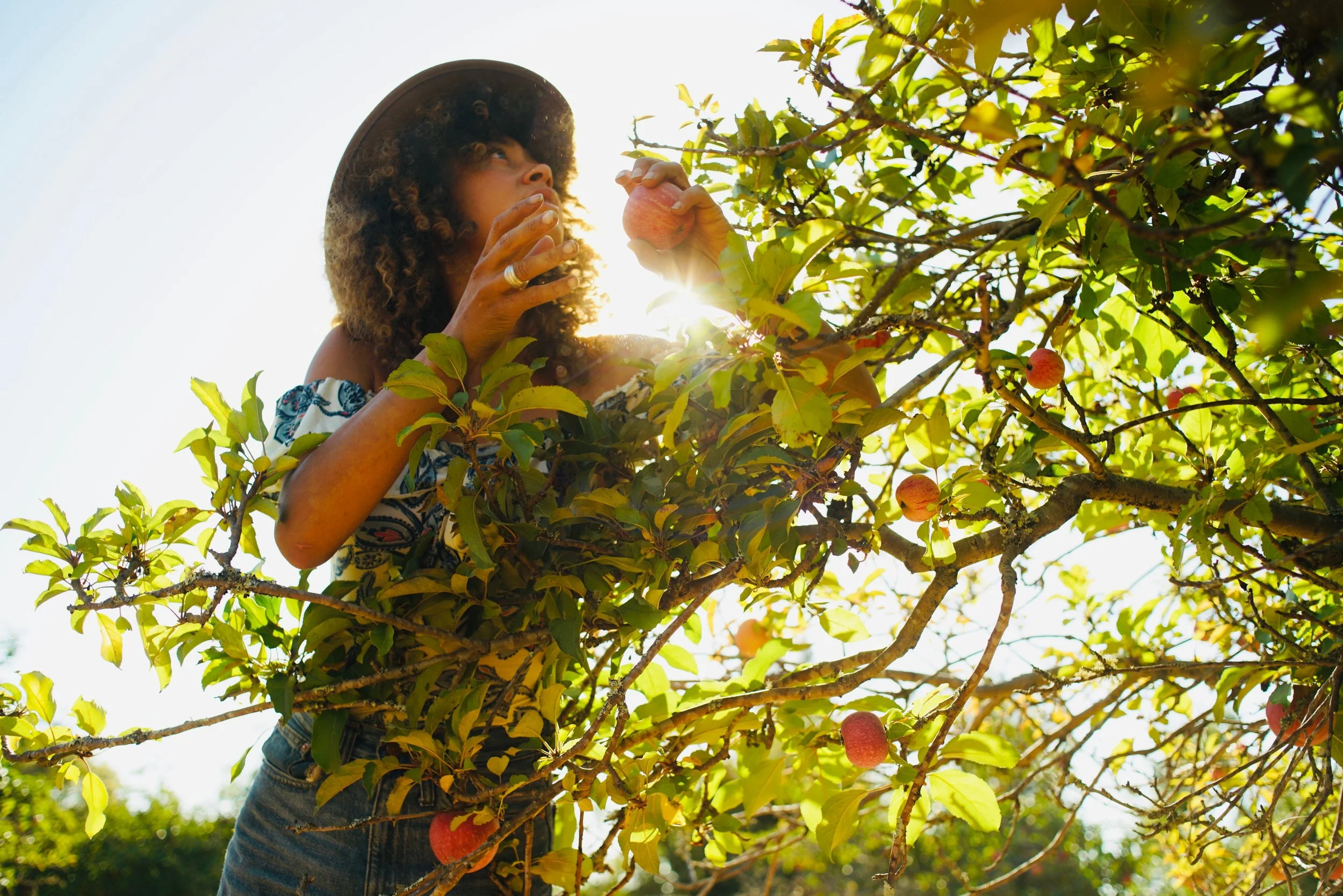  Photo—Will Basanta 