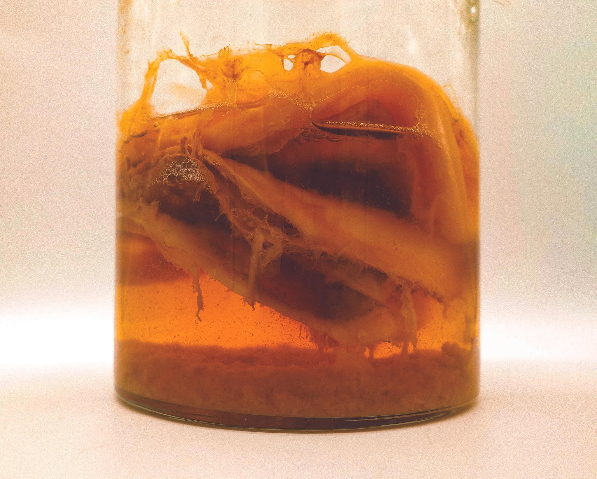 Invisible Connections