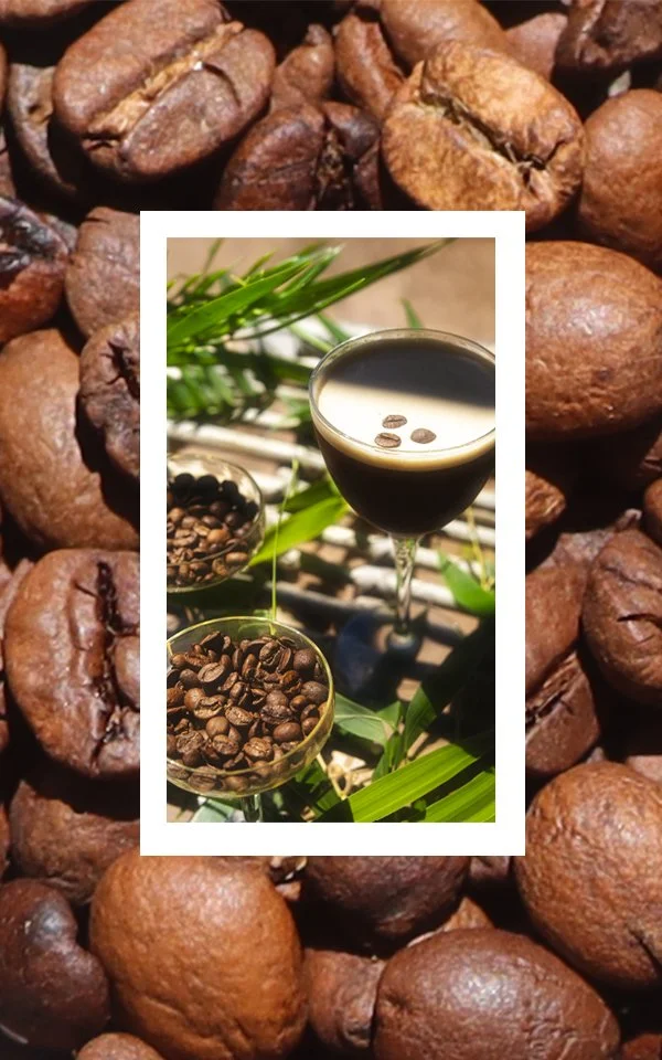 NOLA Espresso Martini