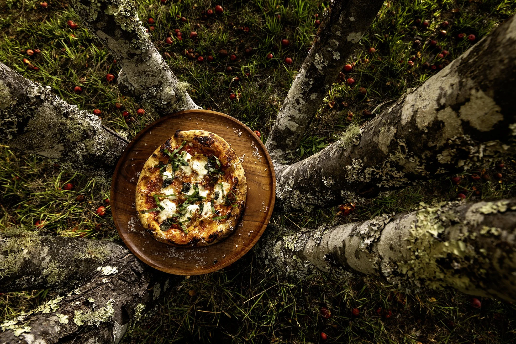 NewTree-Ranch-Healdsburg-Margherita-Pizza