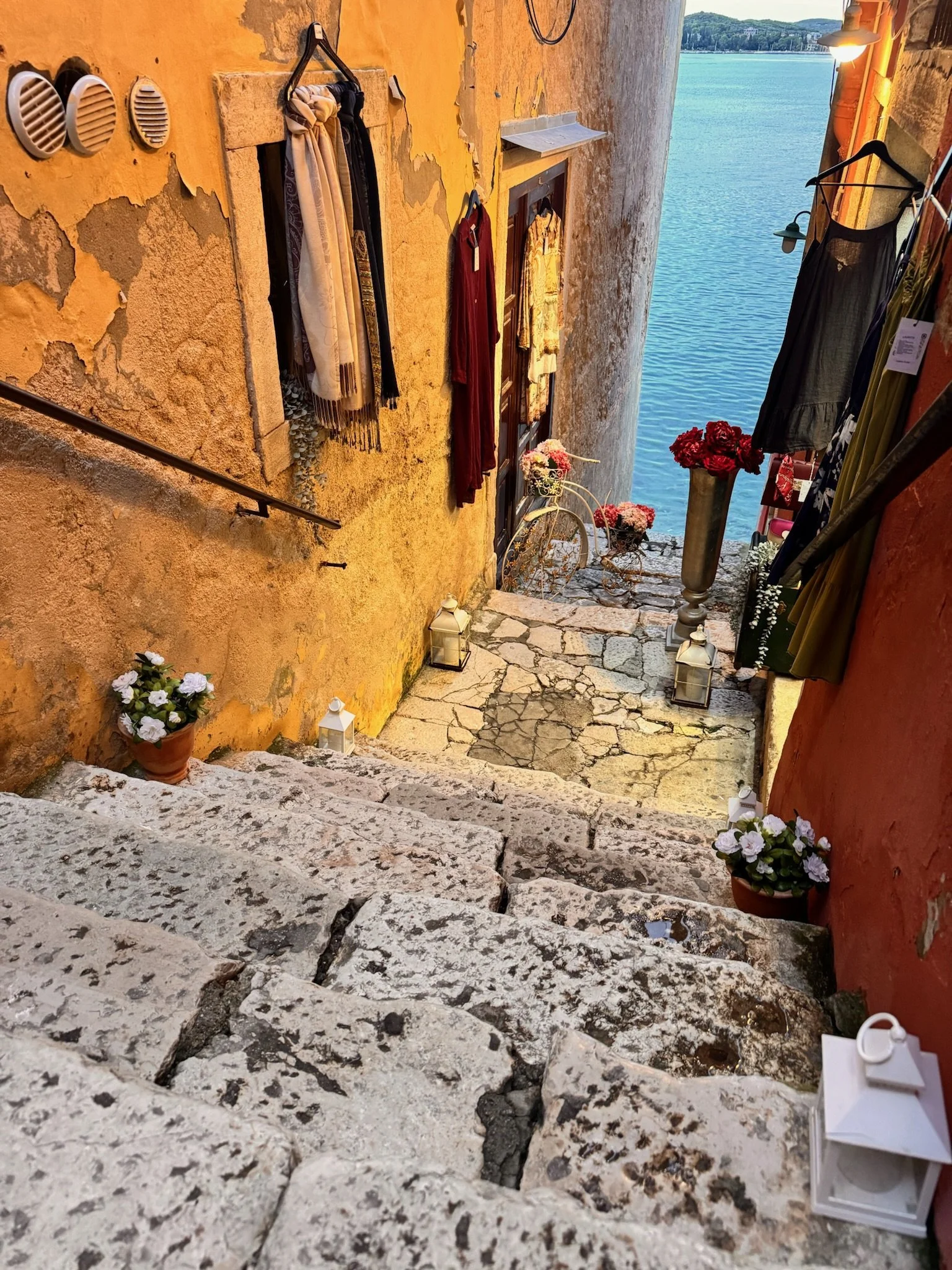 IMG_6792.jpeg