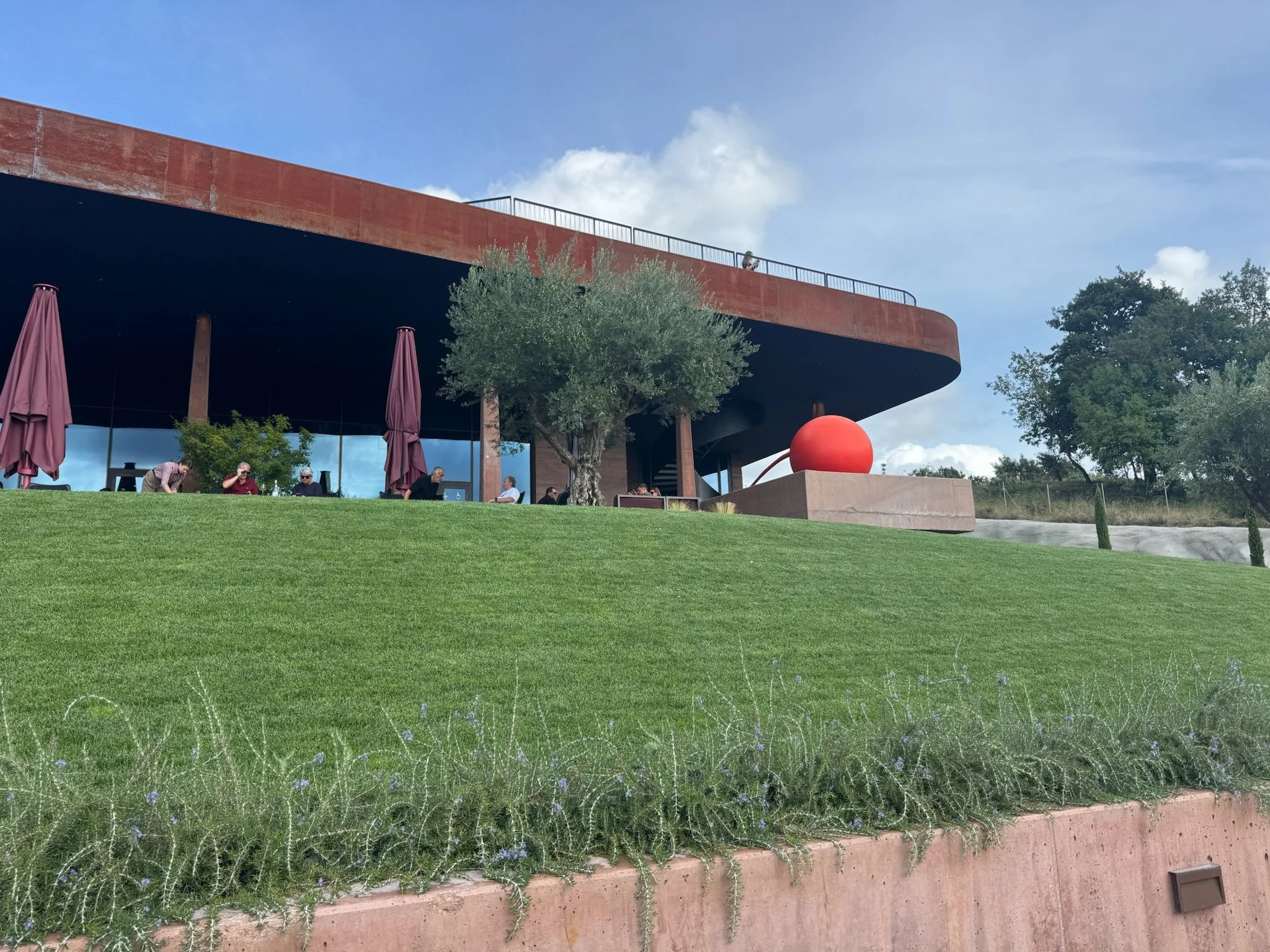 IMG_0425.jpeg