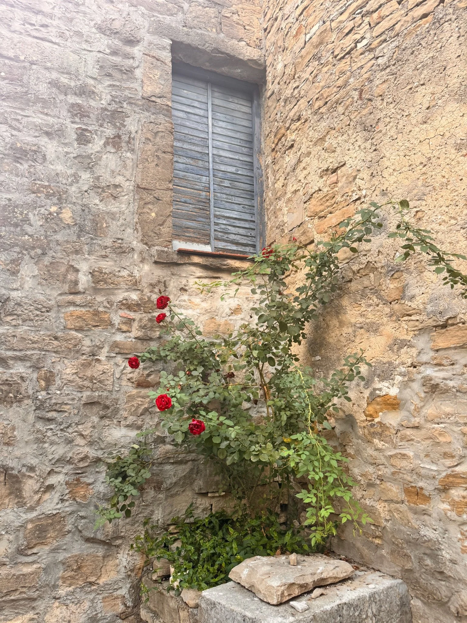 IMG_6838.jpeg