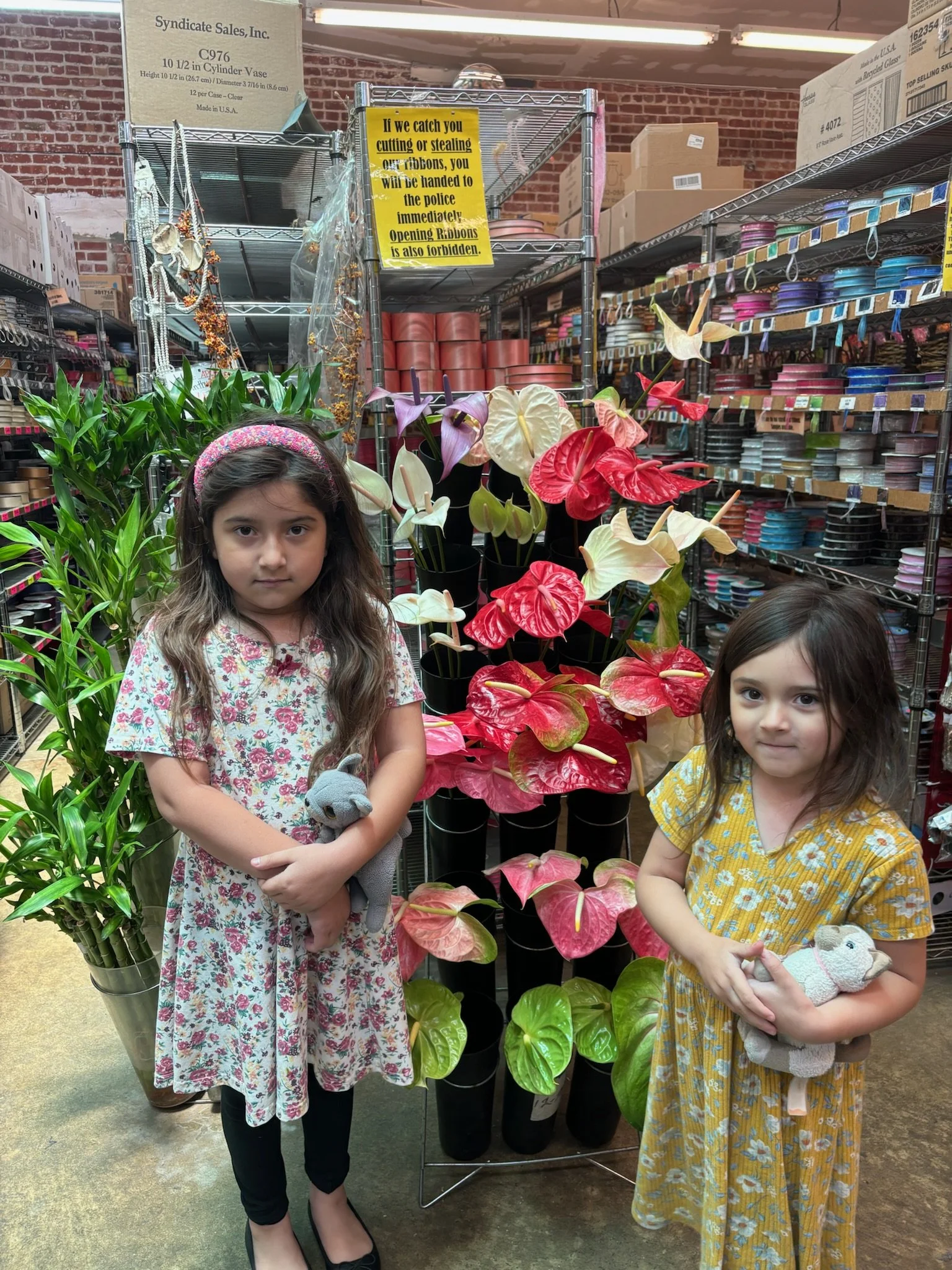 Two young girls holding stuffed animals, standing in front of a display of vibrant pink, red, and white anthurium plants in a store aisle with shelves of colorful ribbons and supplies in the background.