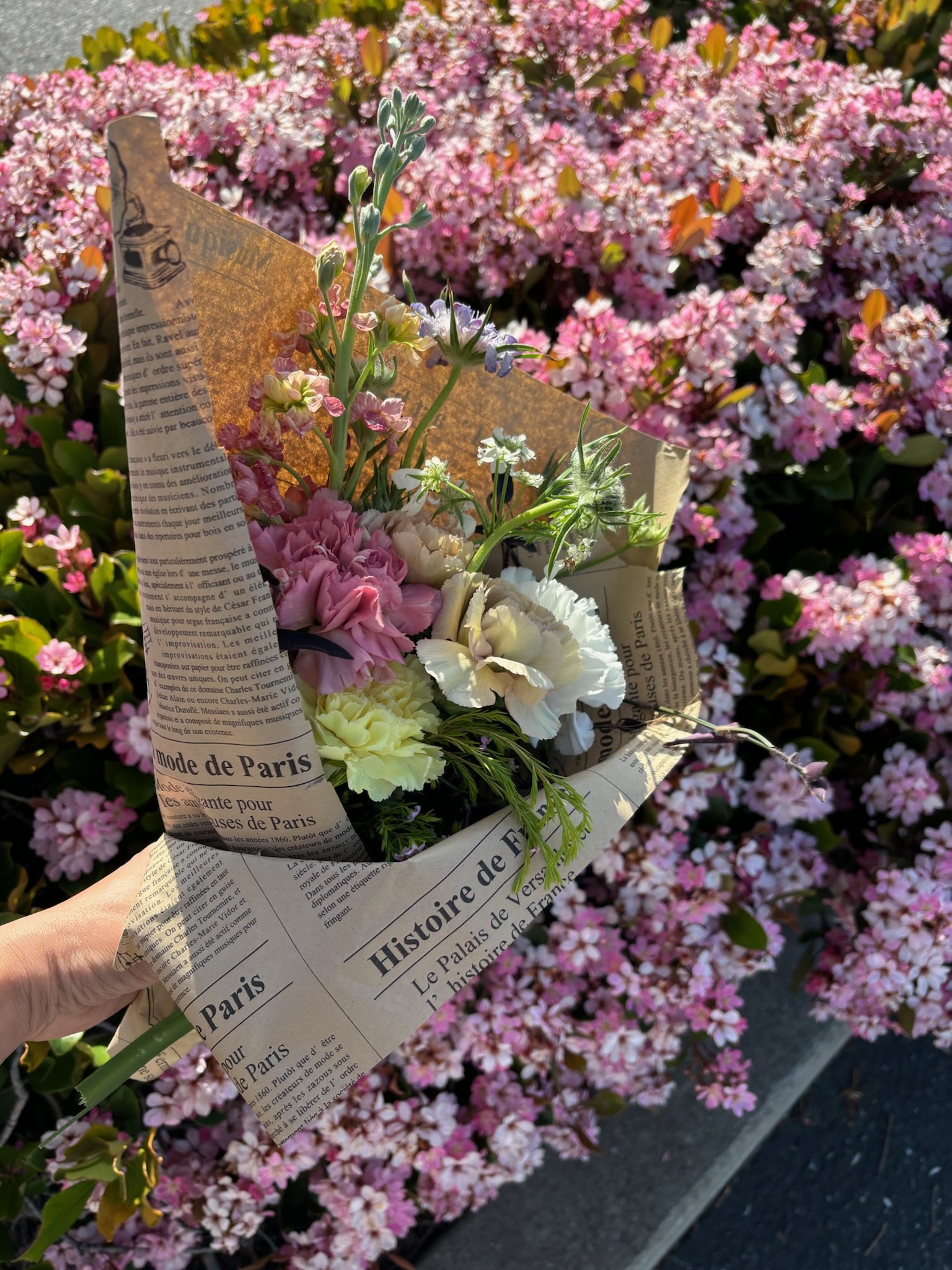 A hand holding a bouquet of flowers wrapped in newspaper in front of a dense pink flowering shrub.