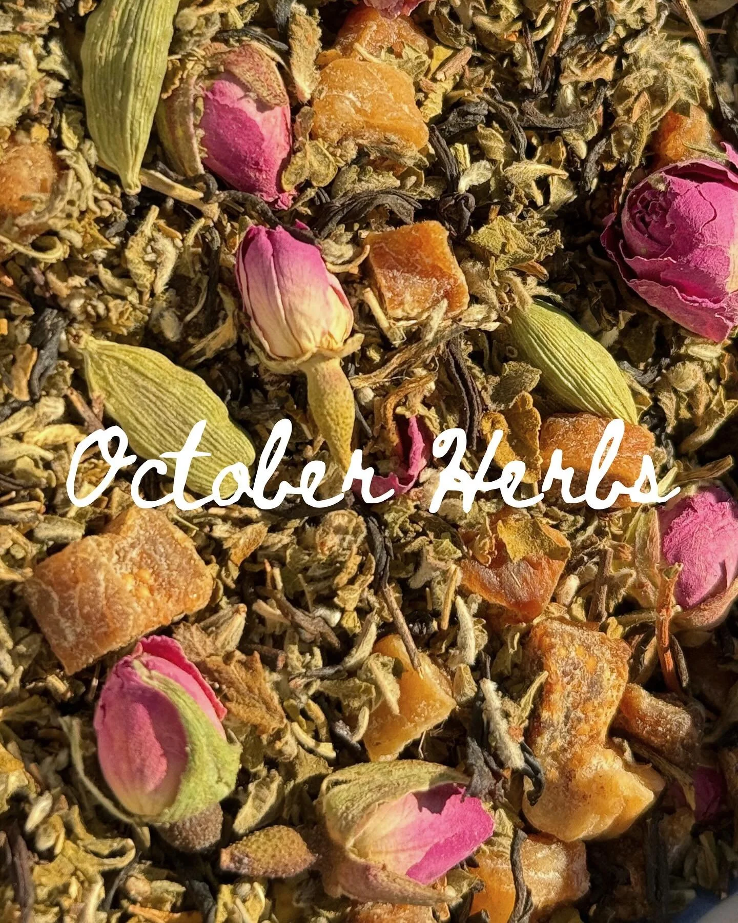 Happy October Witches 🕯️ 

Each month I create a different herbal tea blend to sync deeply into the unique energy of each month. It usually starts with one plant I know I want to revolve the month around, and I&rsquo;ll start sipping it daily, and t