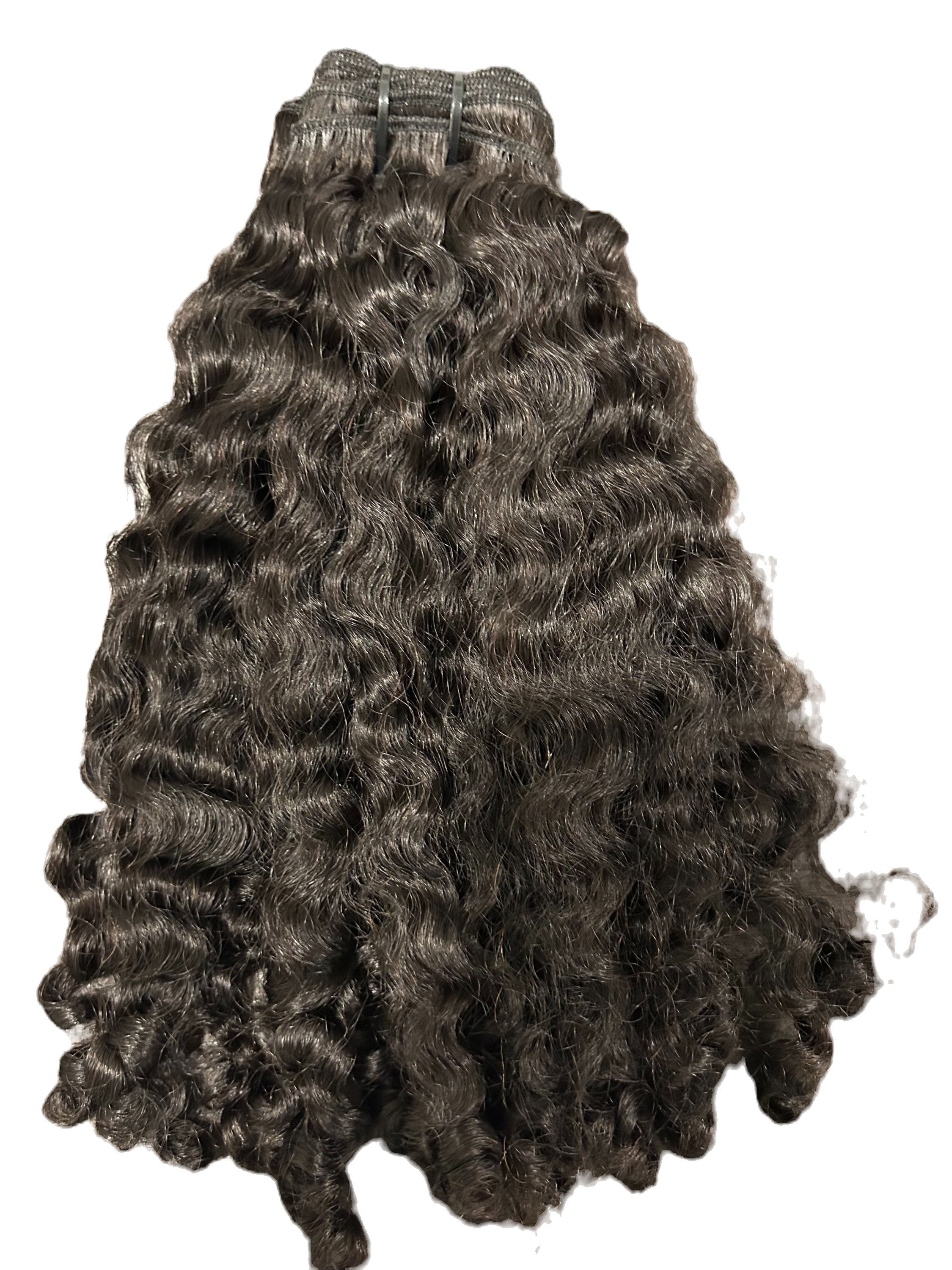 Burmese Curly