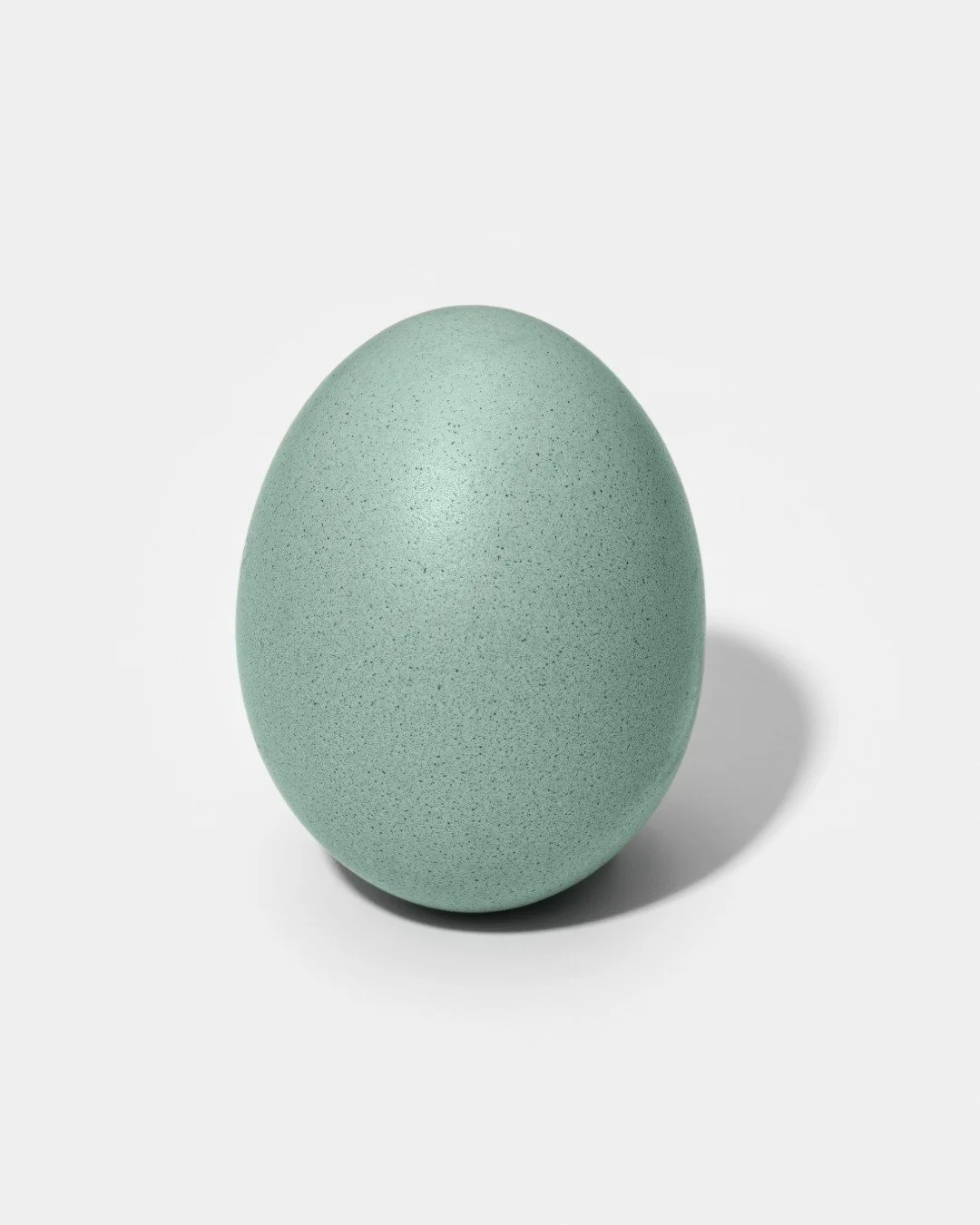 🌷🐣 Easter is a season of renewal, reflection, and fresh beginnings. We hope this holiday brings you peace, joy, and time well spent with those you love.