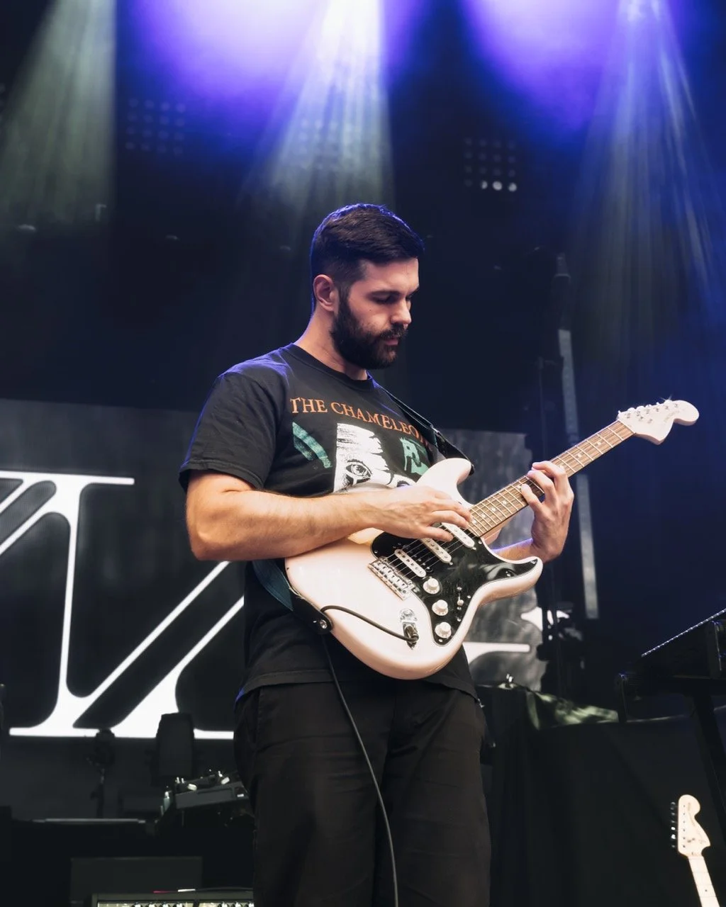 foxing-5 Large.jpeg