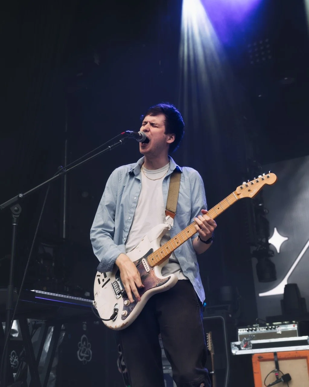 foxing-8 Large.jpeg