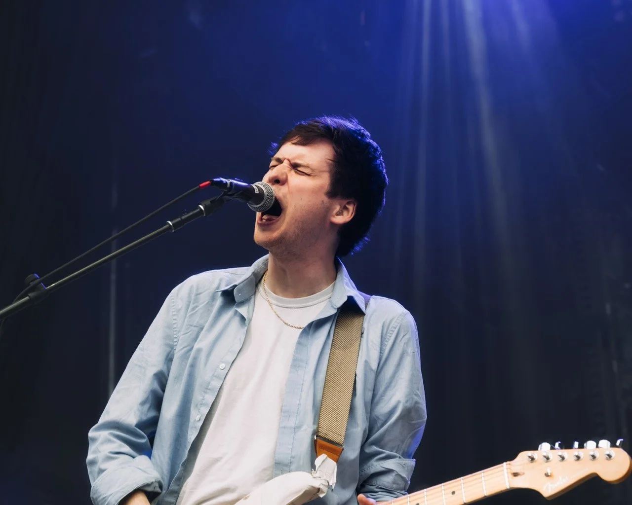 foxing-11 Large.jpeg