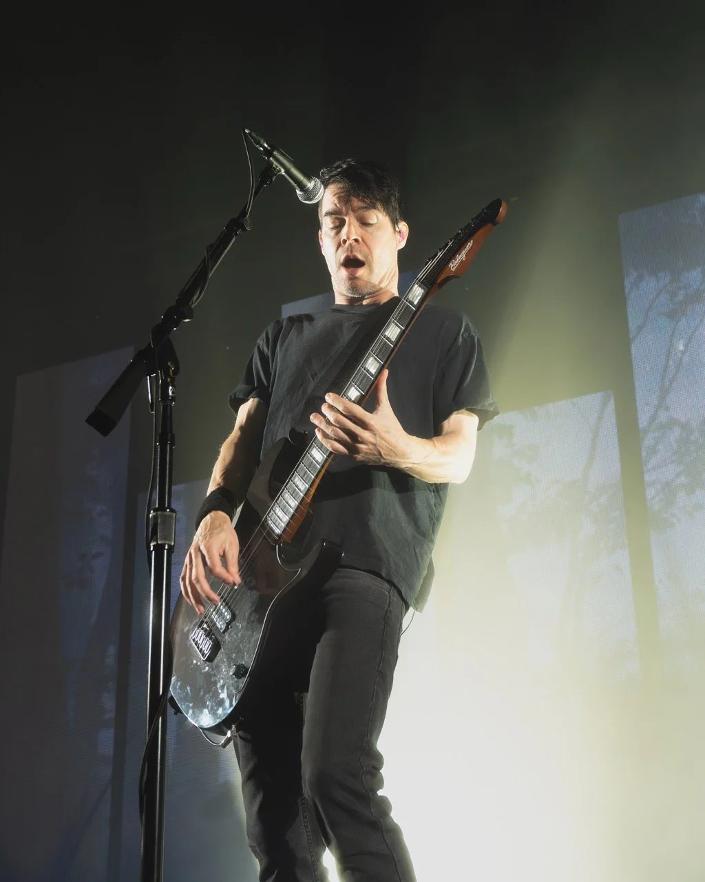 chevelle-18 Large.jpeg