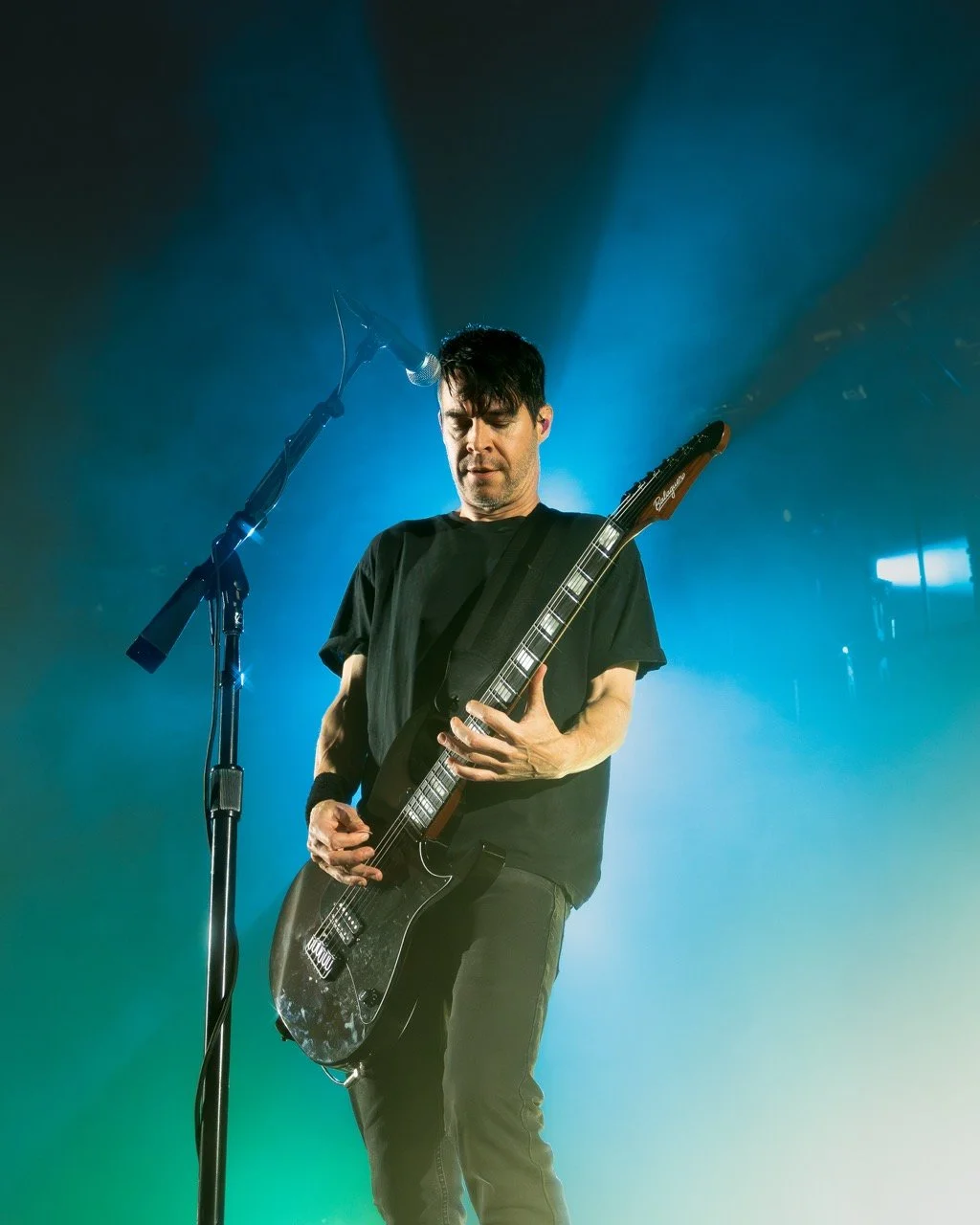 chevelle-20 Large.jpeg