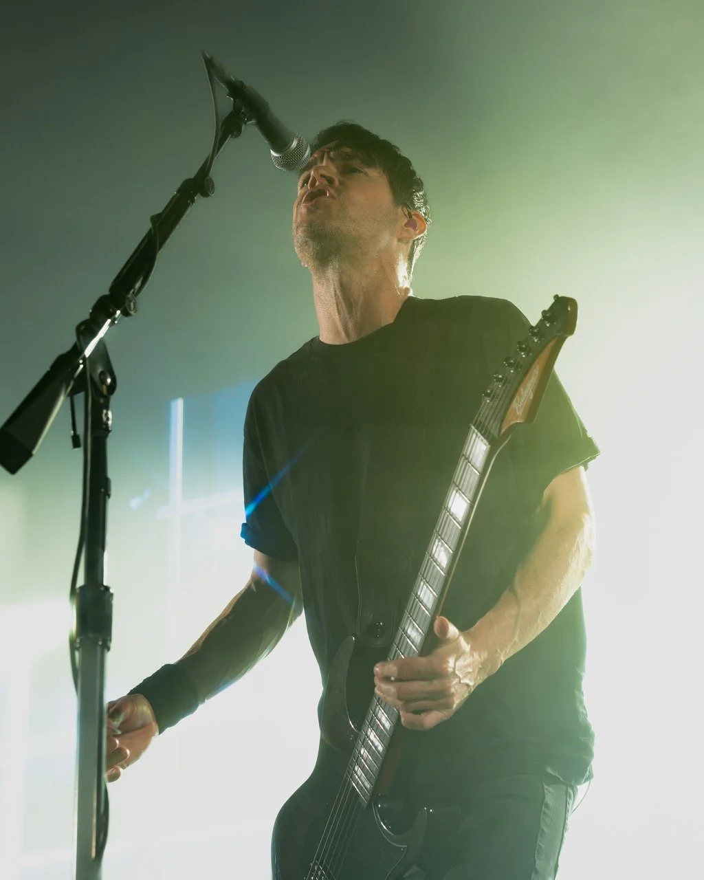 chevelle-23 Large.jpeg