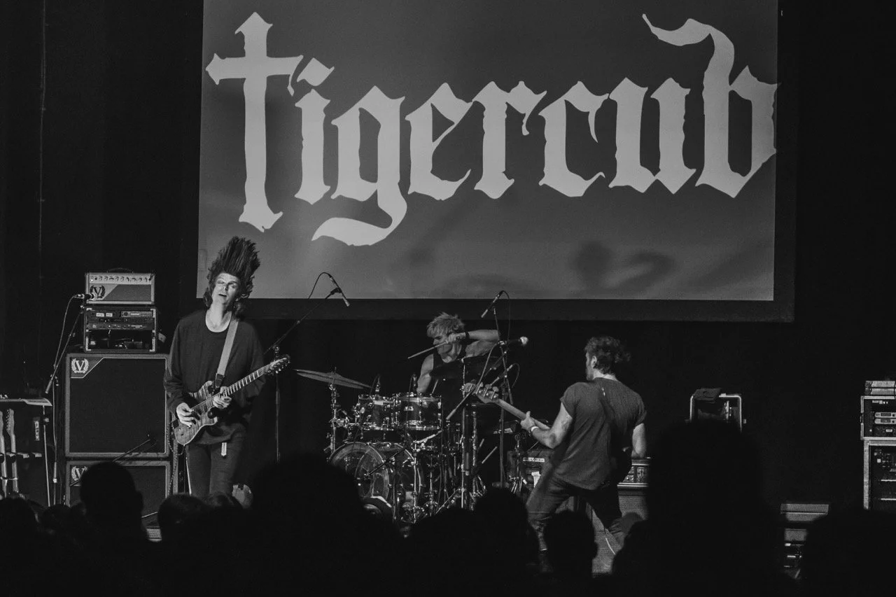 Tigercub_@desirea_corbett-30 Large.jpeg