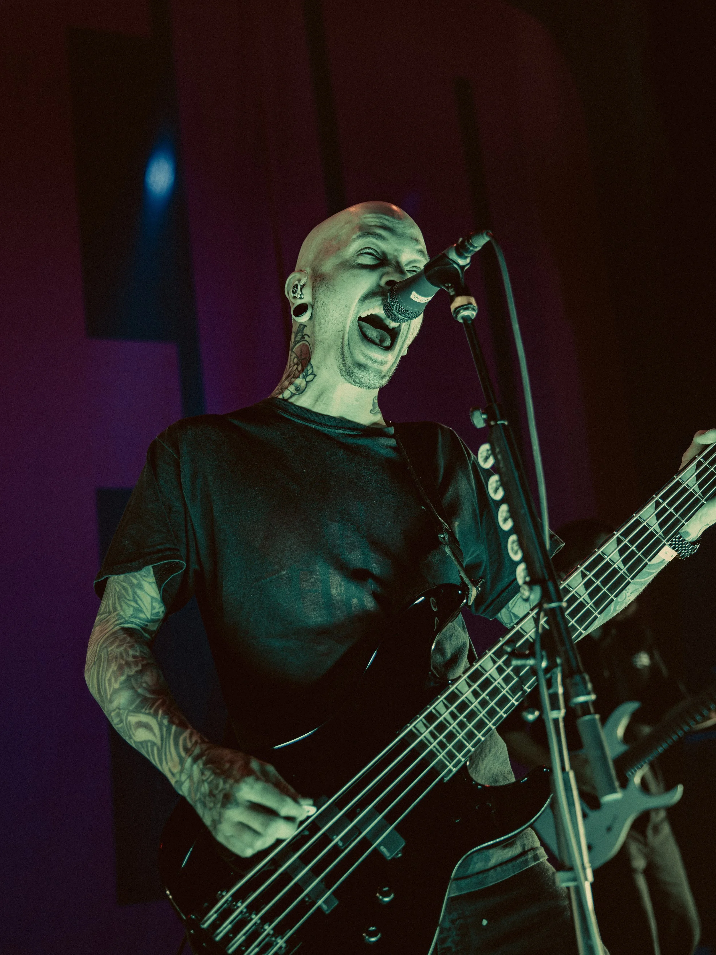 Polaris_Brooklyn04.jpg