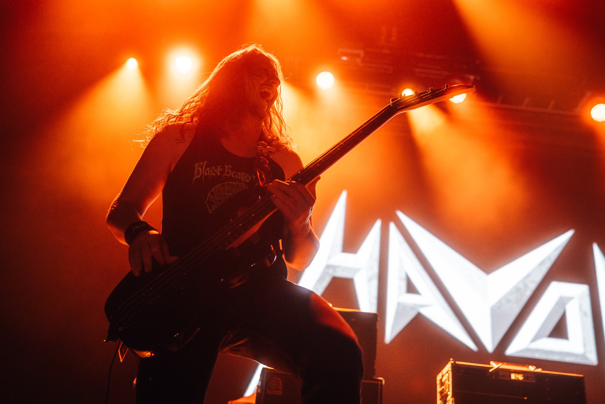 havok-1.jpg