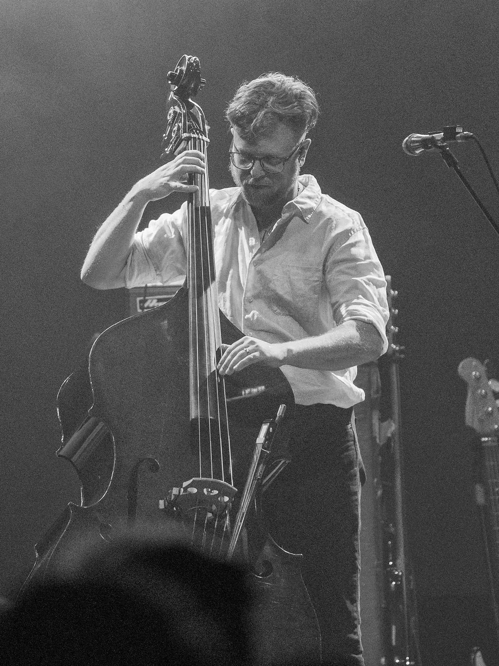 deer-tick-10.jpg