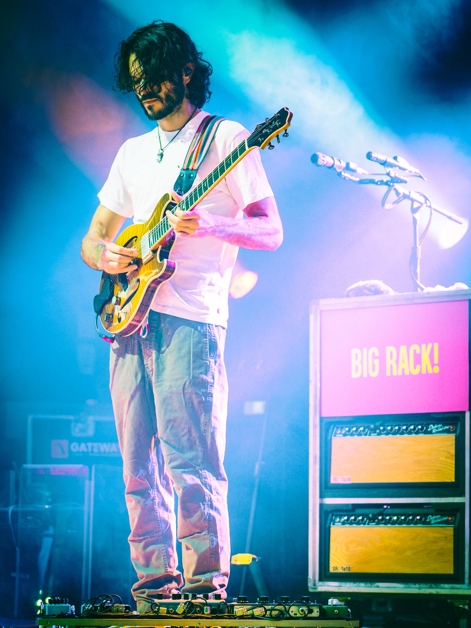 goose-14.jpg