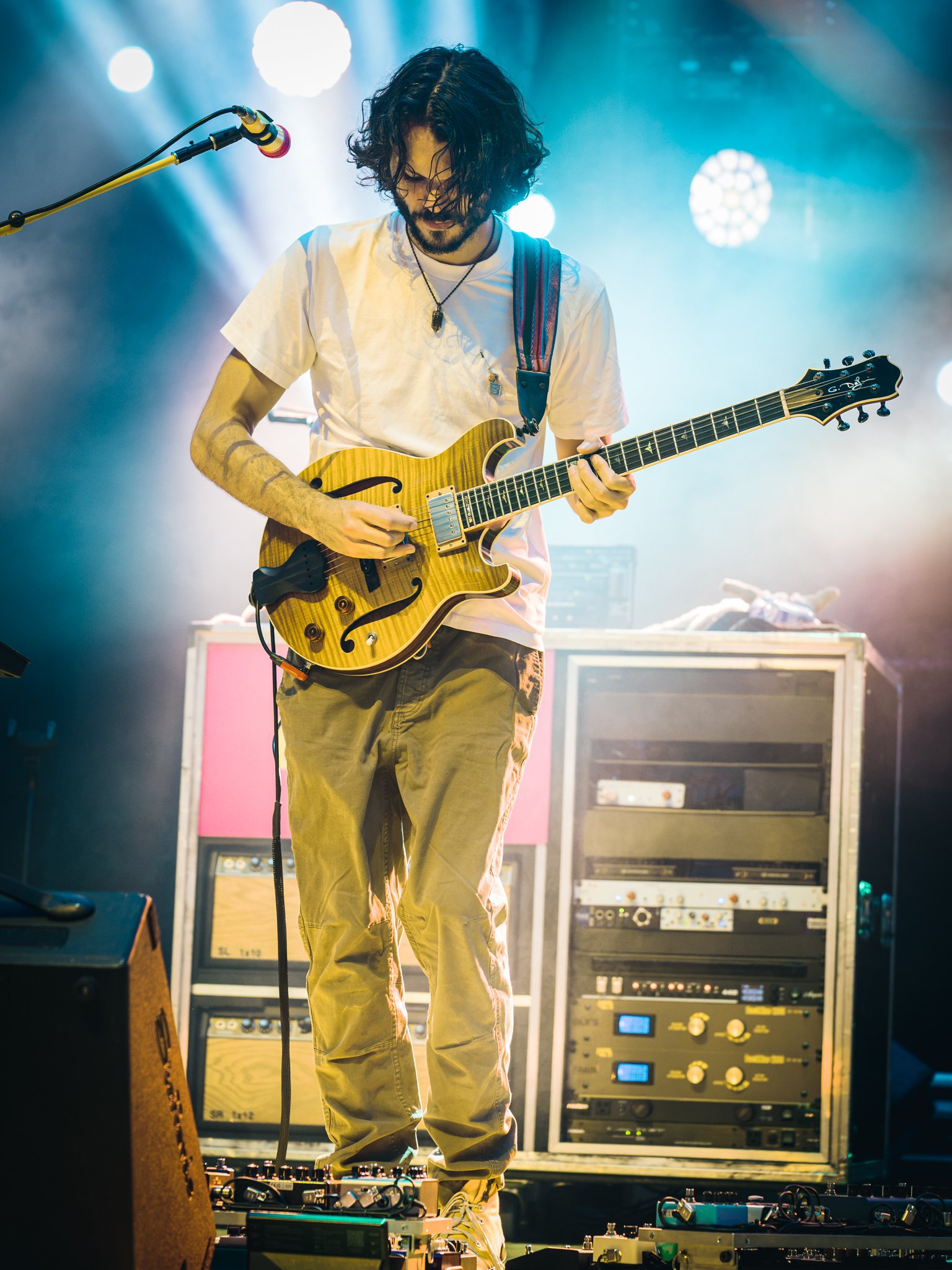 goose-15.jpg