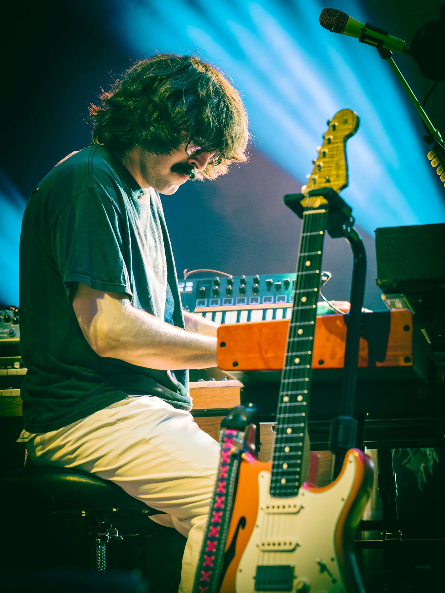 goose-18.jpg