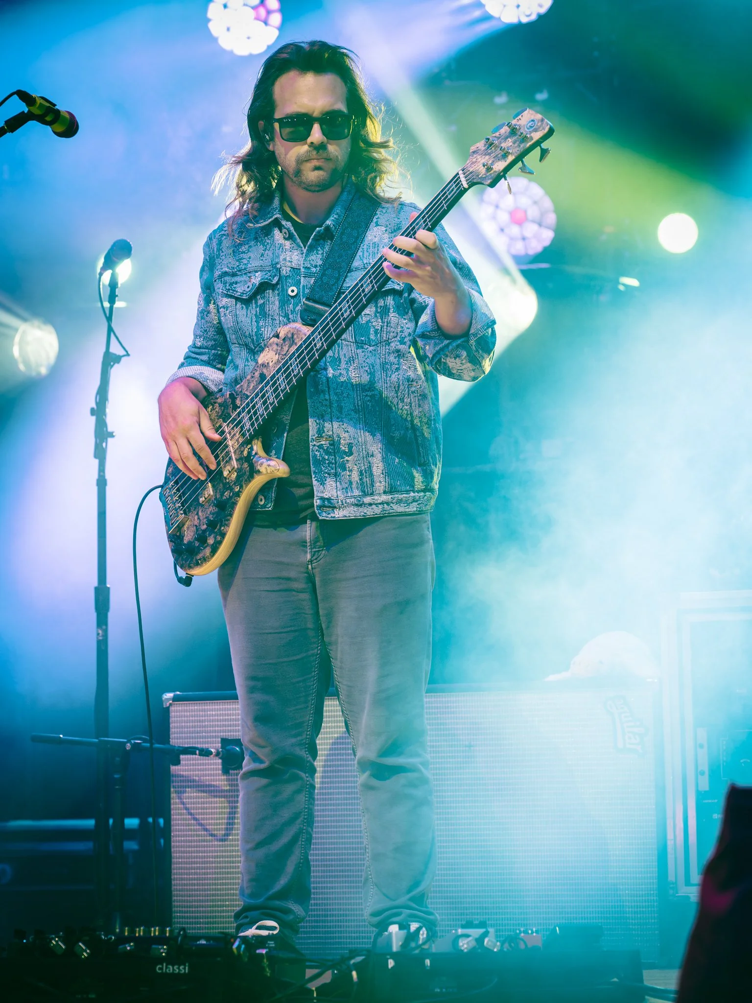 goose-19.jpg