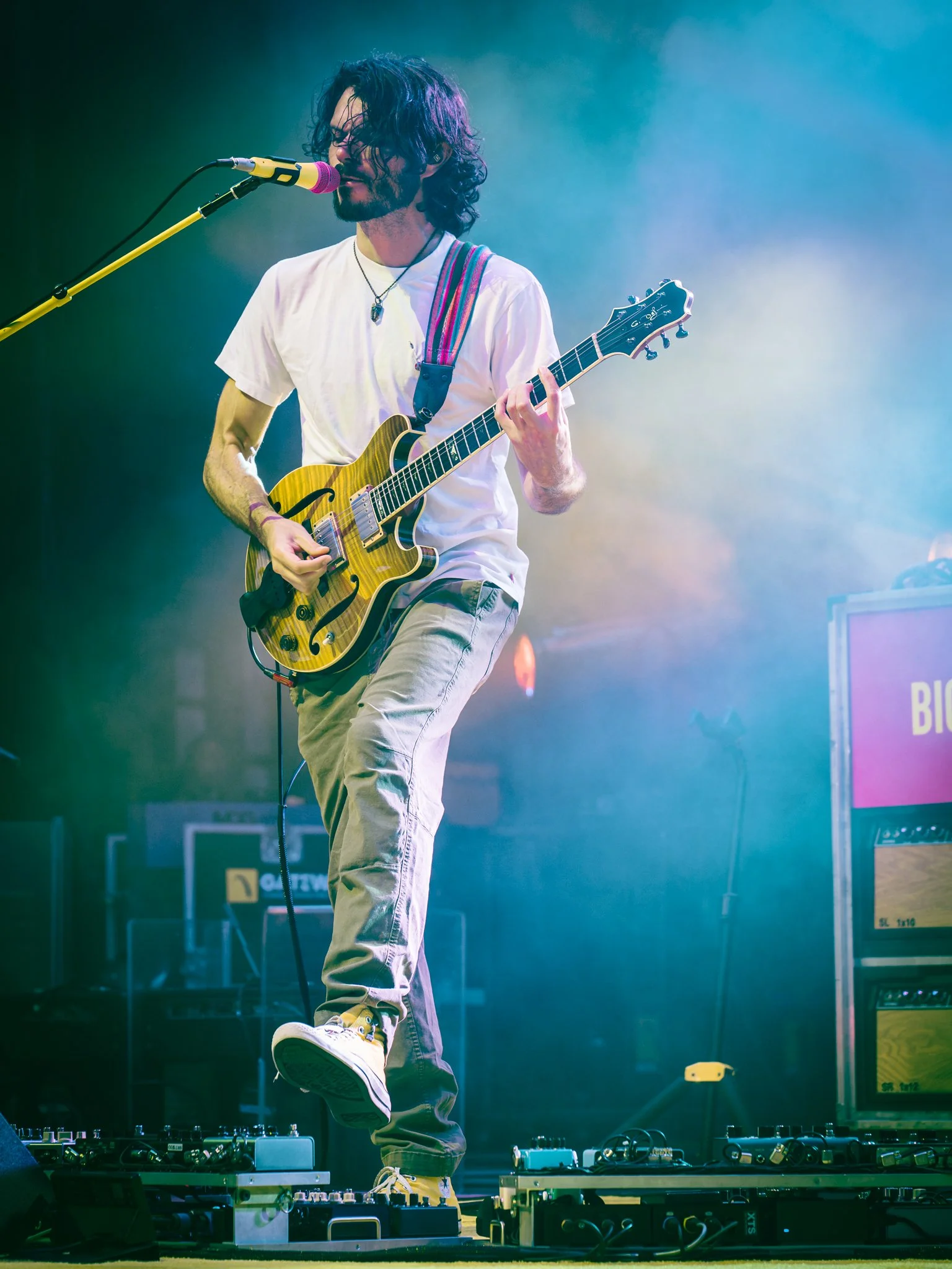 goose-20.jpg