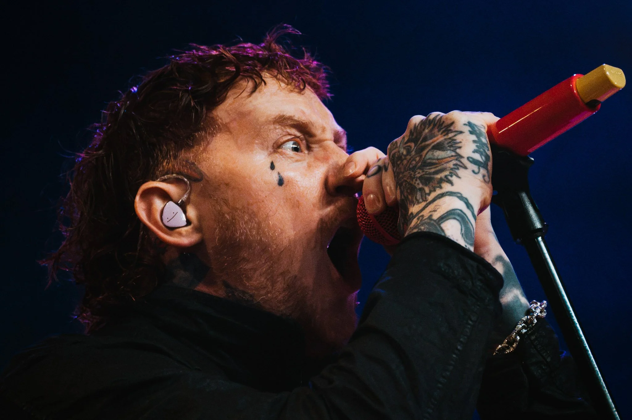 SexPistols w.Frank Carter-1.jpg